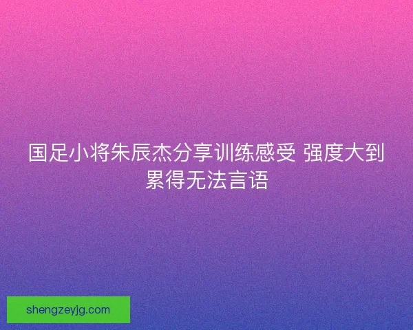 国足小将朱辰杰分享训练感受 强度大到累得无法言语