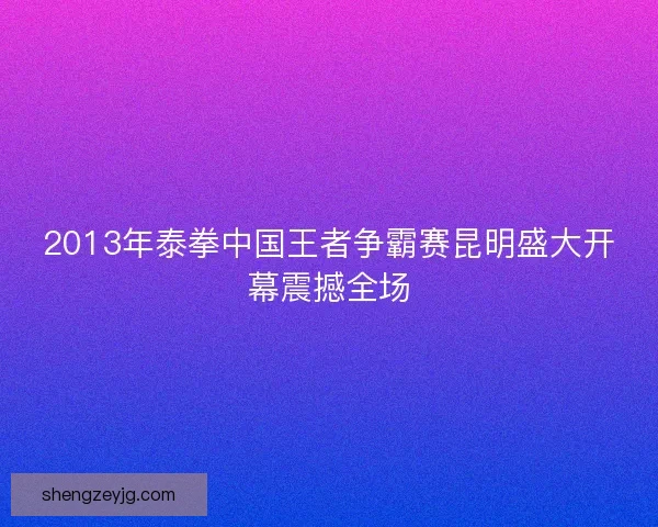 2013年泰拳中国王者争霸赛昆明盛大开幕震撼全场