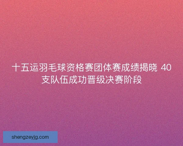 十五运羽毛球资格赛团体赛成绩揭晓 40支队伍成功晋级决赛阶段