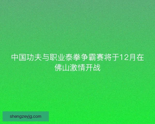 中国功夫与职业泰拳争霸赛将于12月在佛山激情开战