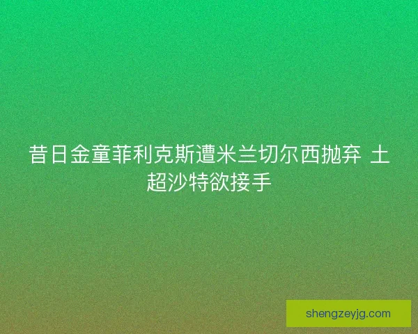 昔日金童菲利克斯遭米兰切尔西抛弃 土超沙特欲接手 昔日金童菲利克斯遭米兰切尔西抛弃 土超沙特欲接手